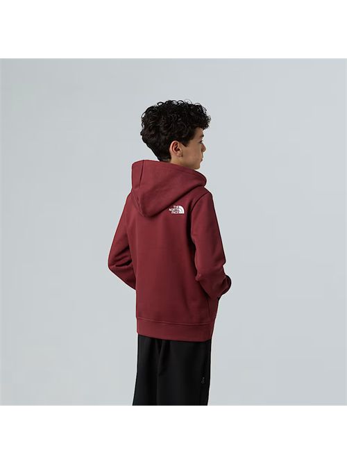  THE NORTH FACE | NF0A8EHH/0VO1